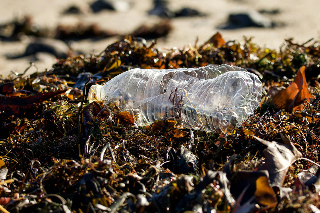 Plastic Detox: Start With What You Wear
